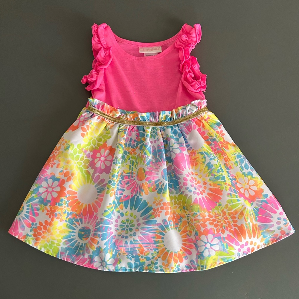 Dress Toddler Girl size 2t